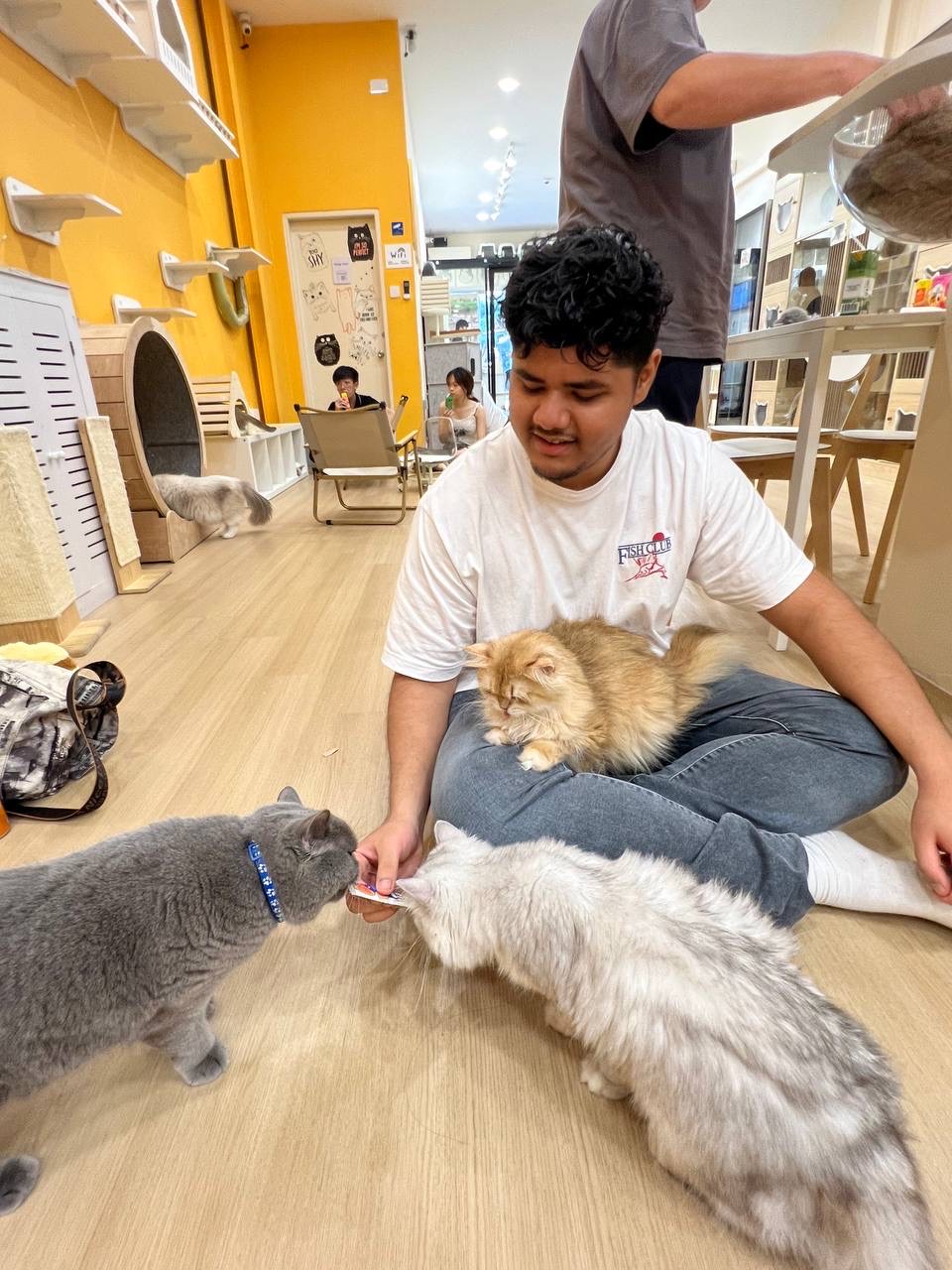 About Shaikh Mohamed Irfan